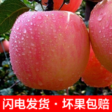 冰糖心2015甘肃礼县红富士苹果冰糖心甜脆新鲜水果10斤包邮