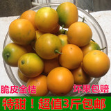 【现货】新鲜金桔水果桂林脆皮金桔阳朔甜金桔青皮 1份发3斤