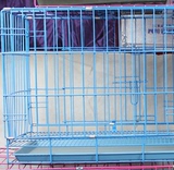 灯光展示笼 304不锈钢狗笼定做 钢化玻璃展示笼 宠物店寄养笼