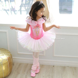 韩国进口正品儿童舞蹈服装 少儿芭蕾裙子 跳舞练功蓬蓬公主粉纱裙