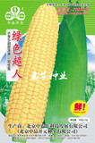 【绿色超人水果玉米种子】 鲜食超甜玉米种子 生吃 农科院监制
