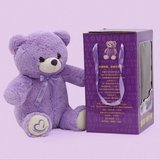 AVBG新款小熊玩具充电热水袋防爆电暖宝暖手宝暖宝宝暖水袋特价