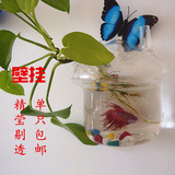 创意壁挂小房子鱼缸迷你小斗鱼水族箱水培植物玻璃花瓶墙面装饰品