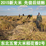东北特产五常大米农家自产原生态有机大米正宗稻花香2号贡米包邮