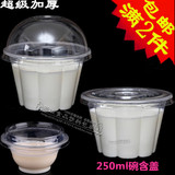 一次性透明布丁塑料碗豆花杯梅花杯沙拉酸奶双皮奶碗250ml100套