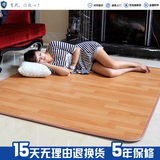 碳晶地暖垫碳纤维电热垫子加热坐垫发热地毯 调温极速高温200*160