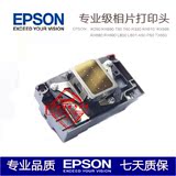全新原装爱普生R330喷头EPSON L801/T50/L800/TX650/R290打印头