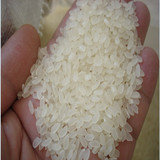 盘锦大米新米蟹田米东北大米农家珍珠米2015年新米10kg斤大米包邮