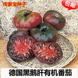 传家宝种子 黑鹅肝有机黑番茄种子 超甜超好吃 水果种子 蔬菜种子