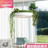 北欧创意简约艺术阳台装饰植物花园花草盆栽田园过道走廊吊灯