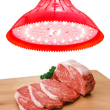 led生鲜猪肉灯超市蔬菜水果熟食照明灯烧腊猪肉海鲜菜市场摊位灯