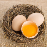 【誉福园】橘园散养土鸡蛋20枚 新鲜农家禽蛋笨鸡蛋柴鸡蛋 包邮
