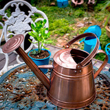 浇水壶热销欧美日韩风园艺铁制大容量彩色洒水壶浇花壶喷水壶喷壶