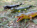 原装正品特价 特大号75CM仿真鳄鱼动物恐龙怪兽玩偶模型礼品玩具