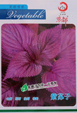 家庭阳台蔬菜香料种子 紫叶苏种子 紫苏种子 盆栽水果瓜花卉草籽