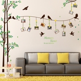 创意墙贴客厅电视卧室背景可移除照片相框自粘墙贴画 小鸟相框树