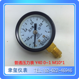 Y40气压水压油压气动压力表0-1MPA M10X1 上海仪川仪表厂