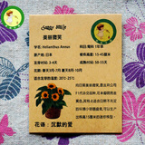 美丽微笑向日葵种子F1代 日本TAKII公司育种 进口盆栽向日葵种子