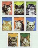 巴拉圭1976年 家畜宠物 邮票 家猫 8全 MNH djc
