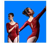 成人芭蕾舞蹈连体长袖练功服女训练形体演出舍宾健美艺术体操服