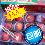 正品山西吉县壶口红富士有机苹果原生态水果平安果双层超值装包邮