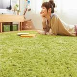可机洗草绿色长毛地毯客厅卧室满铺床边地垫定做现货120*160包邮