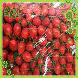 鑫康哈尔滨同城新鲜水果蔬菜 精品 鲜圣女果小西红柿 8斤/箱营养