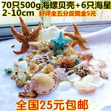 包邮500g+6只海星海螺贝壳装饰套装 创意电视墙地台鱼缸造景装饰