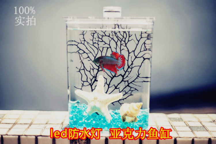 泰国斗鱼缸超白微型鱼缸亚克力迷你水族箱斗鱼