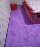【】卧室客厅地毯地垫丝毛地毯茶几地毯榻榻米可手洗