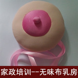 催乳师乳房模型 假胸妇幼保健院护士培训教具 无异味带挂绳布乳房