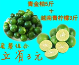 越南新鲜水果青金桔小青桔金桔 新鲜越南青柠檬 进口水果组合装