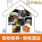 宠物服务猫狗兔子龙猫豚鼠等宠物寄养宠物酒店 广州QMAX宠物百货