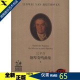 【全新正版】贝多芬钢琴奏鸣曲集II（附MP3）  /湖南文艺