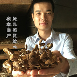 新鲜茶树菇干货不开伞纯天然农产品土特产农家自产食用菌250g江西