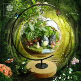 子乐湾微景观苔藓生态瓶迷你植物创意盆栽玻璃瓶办公桌摆件龙猫