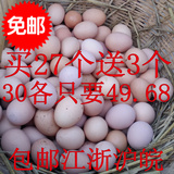 九姑牧歌农家散养土鸡蛋自种粮食喂养正宗绿色新鲜现生现卖草鸡蛋