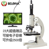 专业生物显微镜 学生用光学生物显微镜贝朗高档显微镜640/2500倍