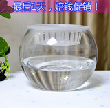 爆款玻璃鱼缸 圆球小鱼缸水培玻璃器皿 鱼缸玻璃 玻璃瓶金鱼鱼缸