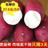 农产品新鲜蔬菜小红薯生地瓜白心板栗山芋有机番薯批发5斤装