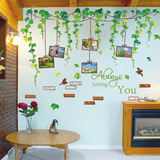 可移除卧室客厅电视背景墙贴纸墙壁装饰温馨清新绿藤照片贴画相片