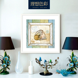 理想色彩 客厅海星海螺装饰画地中海风格 餐厅海洋田园挂画背景