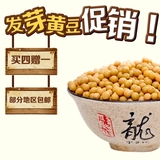 【买四包送一包】黄芽豆450g发豆芽专用东北大豆小粒打豆浆黄豆