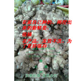 赣南山区特产农产品农家自己种的生姜紫姜新鲜现挖现卖特3元一斤