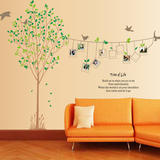 特大客厅沙发墙贴相片树相框贴照片树可移除墙上贴画大树风景贴纸