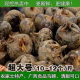 超大号5斤装新鲜广西桂林农产品特产马蹄荸荠 清甜无渣地栗包邮