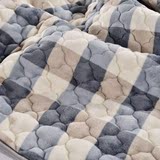 加厚冬季珊瑚绒床单单件法兰绒毛毯双层双人铺床毯子单人防滑加绒