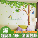 清新绿树欧式墙贴纸超大可移除墙纸贴画客厅卧室儿童房墙壁装饰