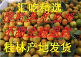 5斤装广西桂林阳朔特产 超甜脆皮甜金桔青金橘小果试吃 新鲜水果