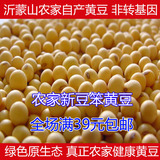 沂蒙山农家自产黄豆纯天然打豆浆专用黄豆有机黄豆非转基因250g